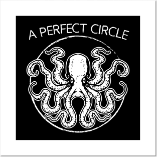 Perfect Circle Shirt Octopi Math Teacher Gift Octopus Pi Day Posters and Art